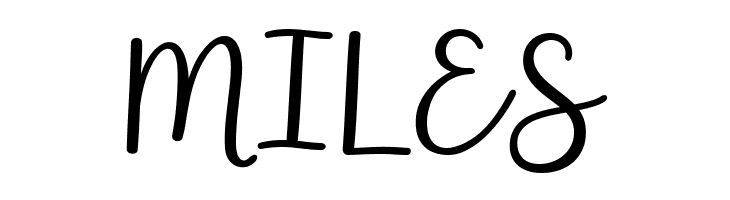 Shakila Script Regular  Free Fonts Download