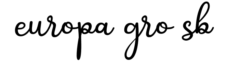 Shakila Script Regular  Free Fonts Download