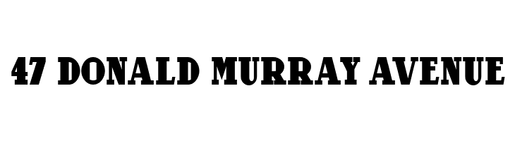 Our Gang NF  Free Fonts Download