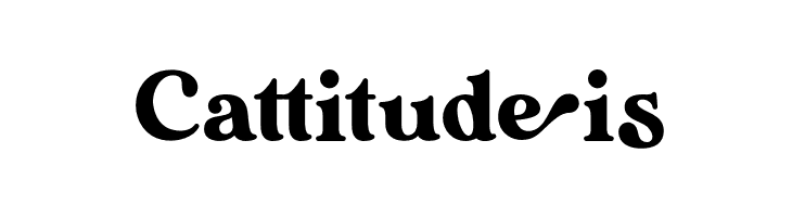 Bavistage  Free Fonts Download