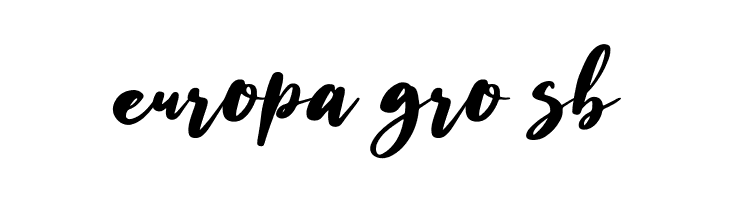 Husein Script  Free Fonts Download