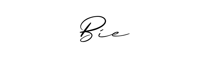 Briquete  Free Fonts Download