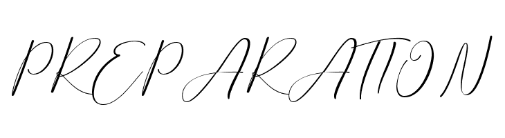 SandriaScript  Free Fonts Download