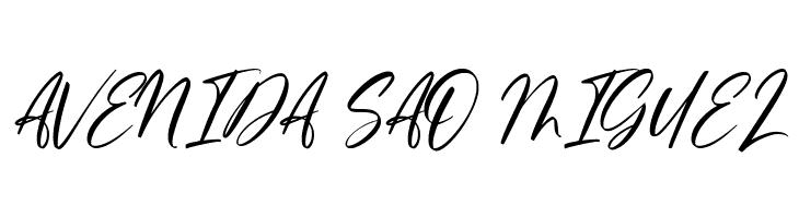 Ferguson Hunter  Free Fonts Download