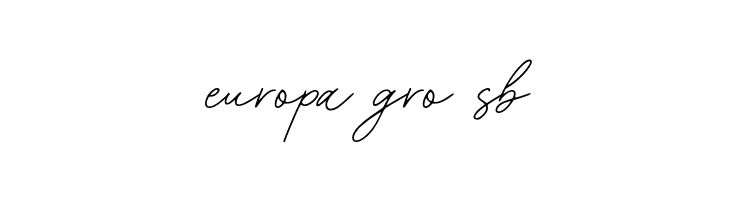 Acoustica  Free Fonts Download