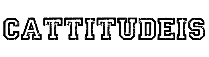 UNIVERSIDAD PERSONAL USE Bold  Free Fonts Download