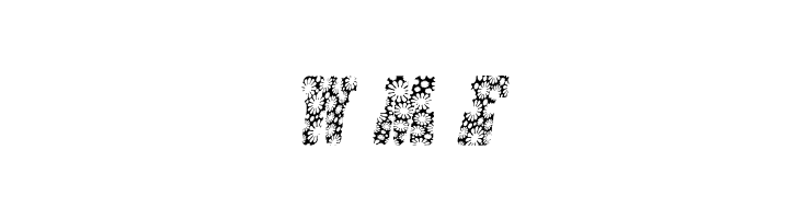 HIPPIES FLOWERS ITALIC PERSONAL USE Bold Italic  Free Fonts Download