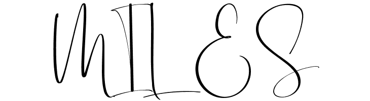 Brittany Rays Demo Script  Free Fonts Download