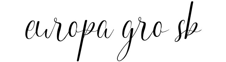 Happy Married Demo Script  Free Fonts Download