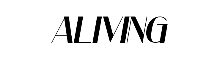 Low Magnetic Demo Italic  Free Fonts Download