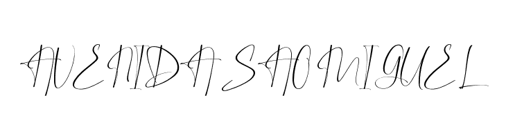 Boston Night Demo  Free Fonts Download