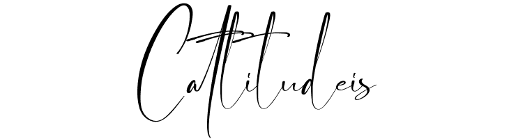 Boston Night Demo  Free Fonts Download