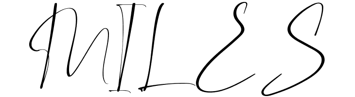 Boston Night Demo  Free Fonts Download