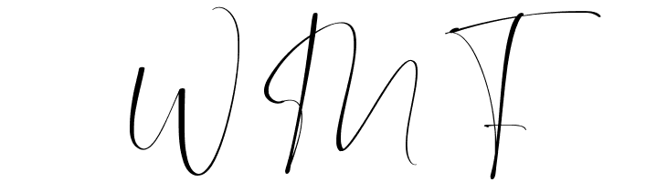 Boston Night Demo  Free Fonts Download