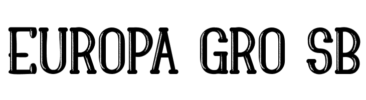 Ralins Demo  Free Fonts Download