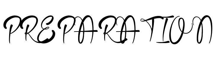 Ralins Demo Script  Free Fonts Download