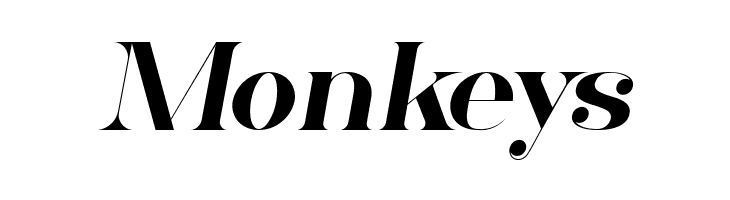 Bluefine Demo Italic  Free Fonts Download
