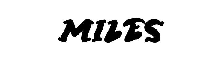 Street Paint Demo  Free Fonts Download