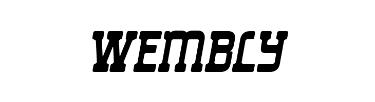 Liong-Italic  Free Fonts Download