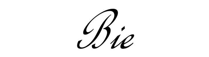 Calligraphy Script  Free Fonts Download