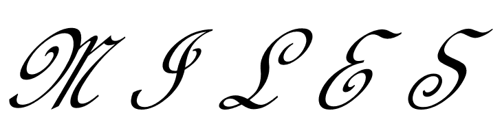 Calligraphy Script  Free Fonts Download