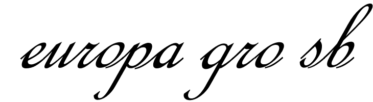 Calligraphy Script  Free Fonts Download