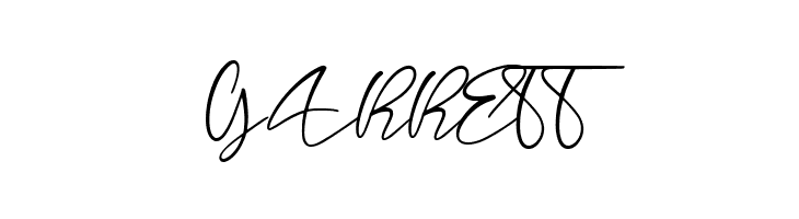 longtail Script  Free Fonts Download