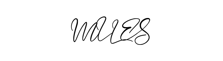 longtail Script  Free Fonts Download