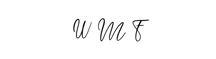longtail Script  Free Fonts Download
