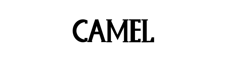 Baques Handtam  Free Fonts Download