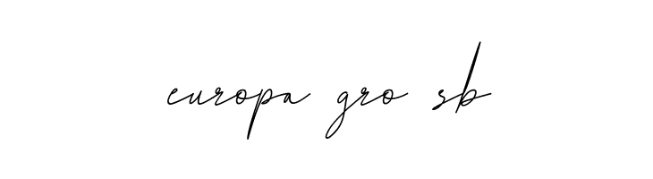 B Luna Piena Demo Italic  Free Fonts Download