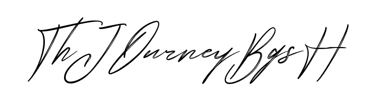 Jillfester Demo Brush  Free Fonts Download
