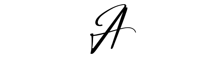 City Halle Demo  Free Fonts Download