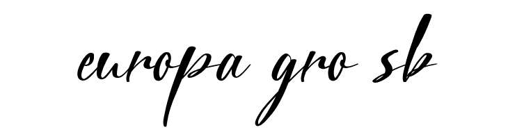 City Halle Demo  Free Fonts Download