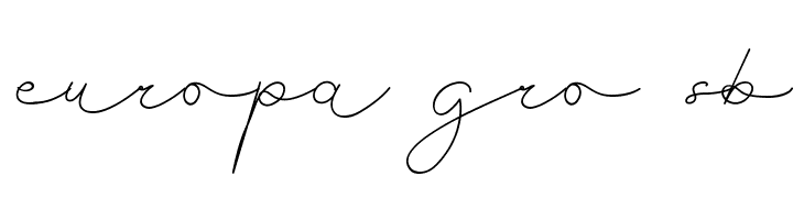 Brusly Name Demo Signature  Free Fonts Download