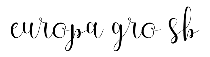 West Houston Demo  Free Fonts Download