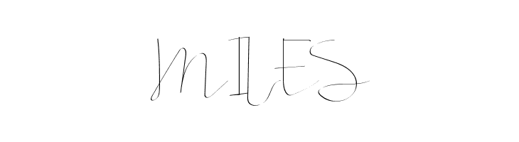 Straight White Demo  Free Fonts Download