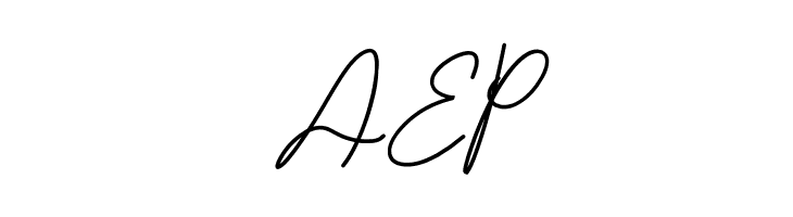 Shasine Time Demo  Free Fonts Download