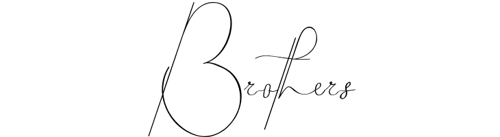 Bevernice Demo  Free Fonts Download