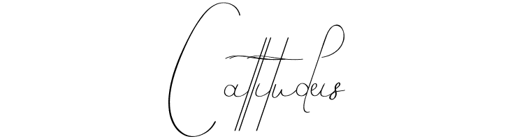 Bevernice Demo  Free Fonts Download