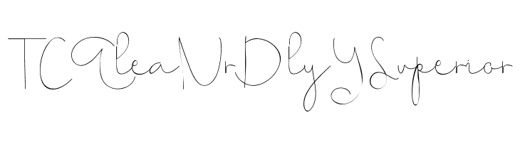 Choerunnisa Demo  Free Fonts Download