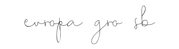 Choerunnisa Demo  Free Fonts Download