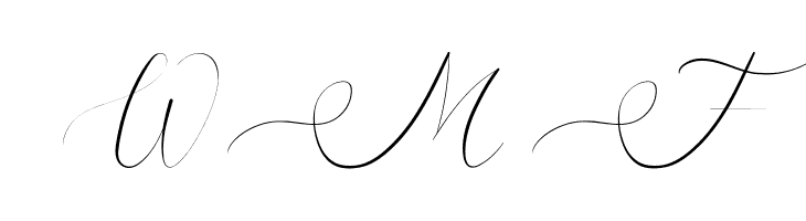Raysha Moonly Demo  Free Fonts Download
