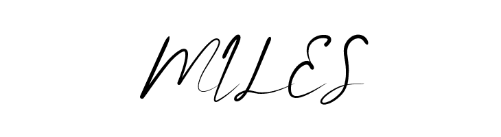 Barnetta Demo  Free Fonts Download