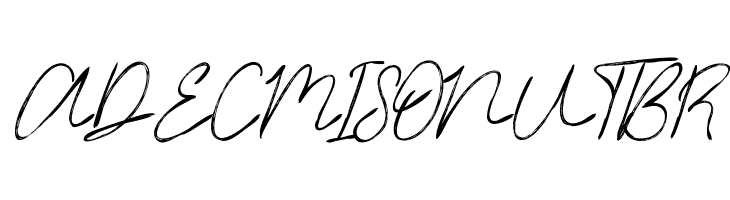 Timitty Demo Script  Free Fonts Download