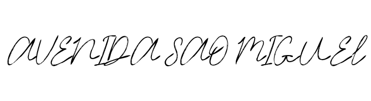 Timitty Demo Script  Free Fonts Download