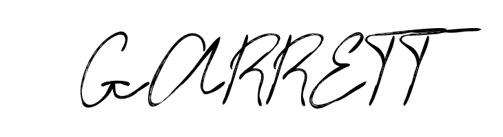 Timitty Demo Script  Free Fonts Download