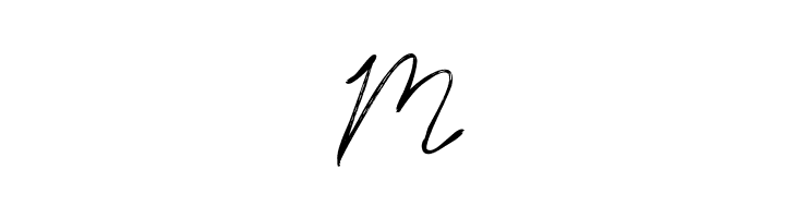 Timitty Demo Script  Free Fonts Download