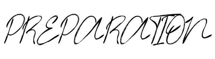 Timitty Demo Script  Free Fonts Download