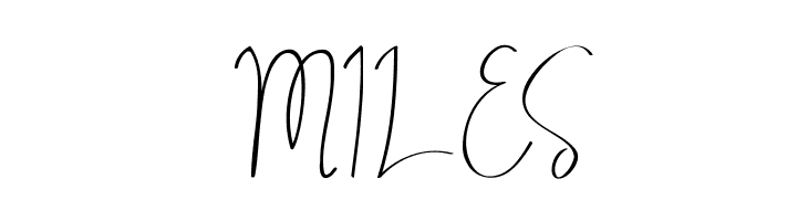 ALDITH DEMO Script  Free Fonts Download